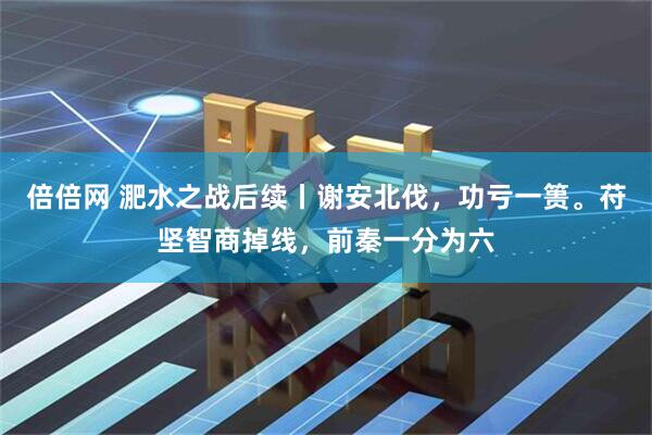 倍倍网 淝水之战后续丨谢安北伐，功亏一篑。苻坚智商掉线，前秦一分为六