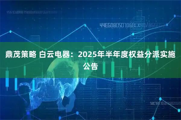 鼎茂策略 白云电器：2025年半年度权益分派实施公告