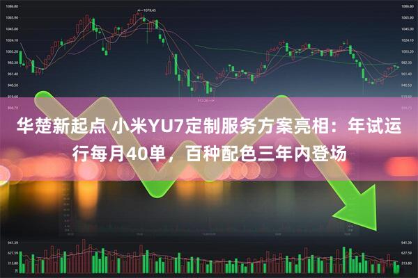 华楚新起点 小米YU7定制服务方案亮相：年试运行每月40单，百种配色三年内登场