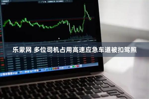 乐蒙网 多位司机占用高速应急车道被扣驾照