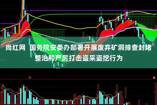 尚红网  国务院安委办部署开展废弃矿洞排查封堵整治和严厉打击盗采盗挖行为