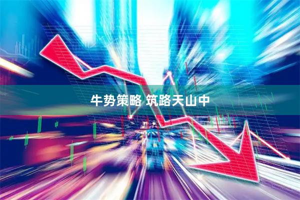 牛势策略 筑路天山中