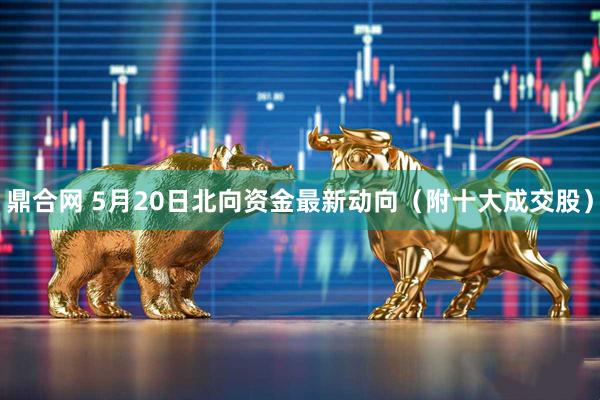 鼎合网 5月20日北向资金最新动向（附十大成交股）