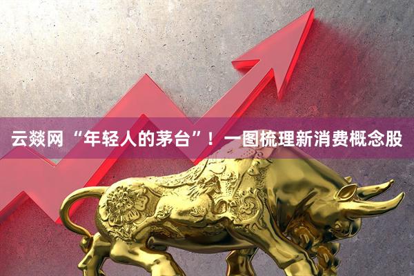 云燚网 “年轻人的茅台”！一图梳理新消费概念股
