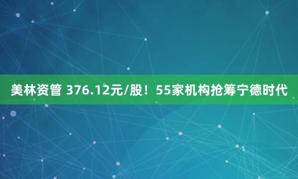 美林资管 376.12元/股！55家机构抢筹宁德时代