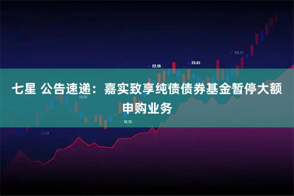 七星 公告速递：嘉实致享纯债债券基金暂停大额申购业务