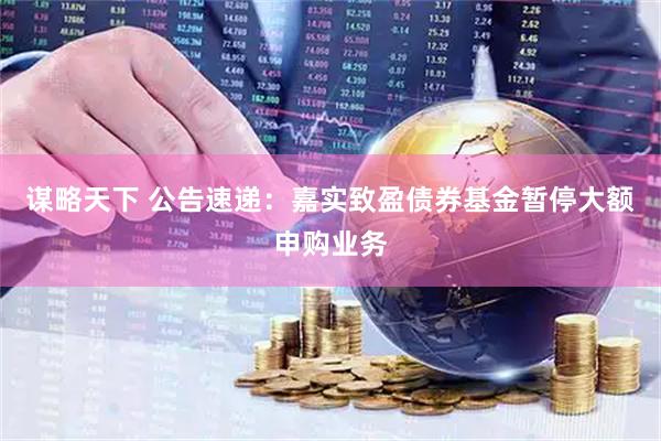 谋略天下 公告速递：嘉实致盈债券基金暂停大额申购业务